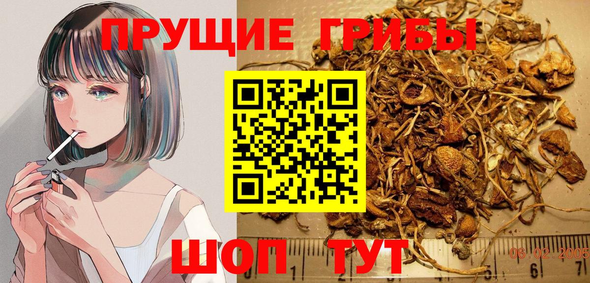 Галлюциногенные грибы MAGIC MUSHROOMS Кисловодск