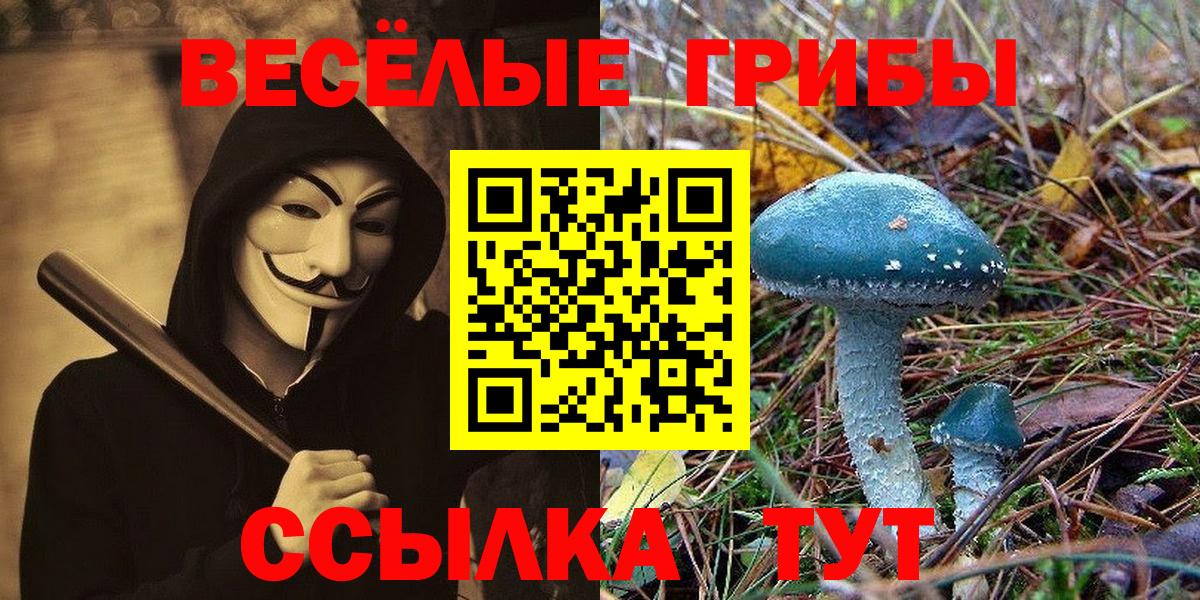 Кисловодск  Галлюциногенные грибы GOLDEN TEACHER  Вход с VPN 