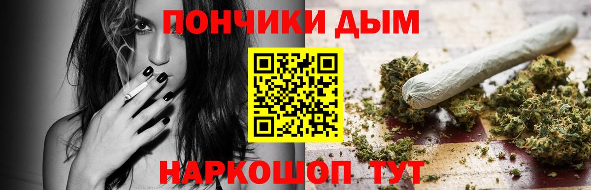 Каннабис сатива Кисловодск